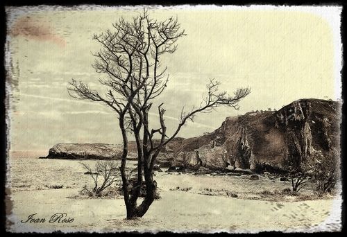 Fotografia de Ivan Rose - Galeria Fotografica: Fotografia (Blanco & Negro) - Foto: 