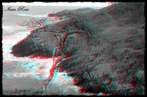 Fotografia de Ivan Rose - Galeria Fotografica: Fotografia (Blanco & Negro) - Foto: 