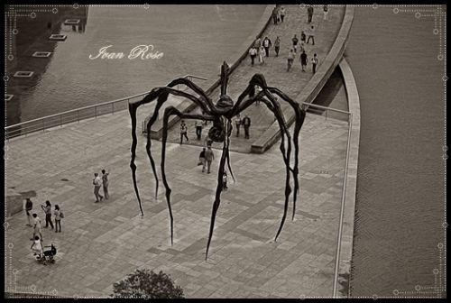 Fotografia de Ivan Rose - Galeria Fotografica: Fotografia (Blanco & Negro) - Foto: 