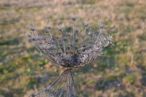 Fotografia de M� Mercedes L�pez Ordiales - Galeria Fotografica: Enero - Foto: 