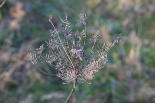 Fotografia de M� Mercedes L�pez Ordiales - Galeria Fotografica: Enero - Foto: 