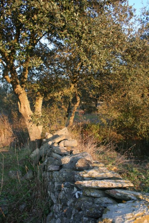 Fotografia de M� Mercedes L�pez Ordiales - Galeria Fotografica: Enero - Foto: 