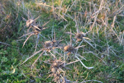 Fotografia de M� Mercedes L�pez Ordiales - Galeria Fotografica: Enero - Foto: 