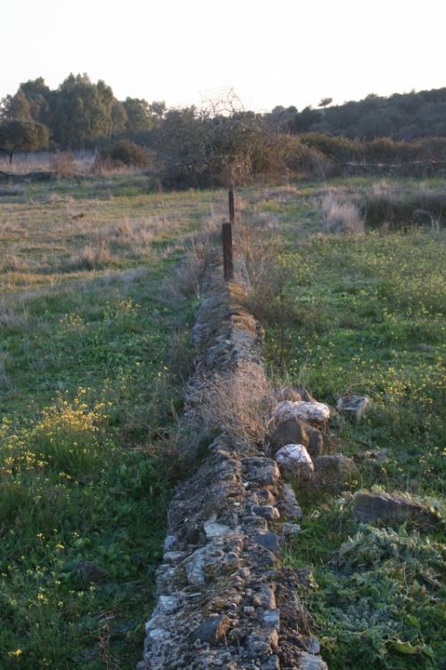 Fotografia de M� Mercedes L�pez Ordiales - Galeria Fotografica: Enero - Foto: 