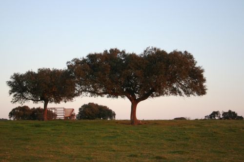 Fotografia de M� Mercedes L�pez Ordiales - Galeria Fotografica: Enero - Foto: 