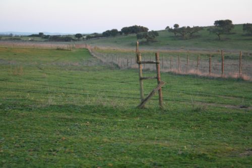 Fotografia de M� Mercedes L�pez Ordiales - Galeria Fotografica: Enero - Foto: 