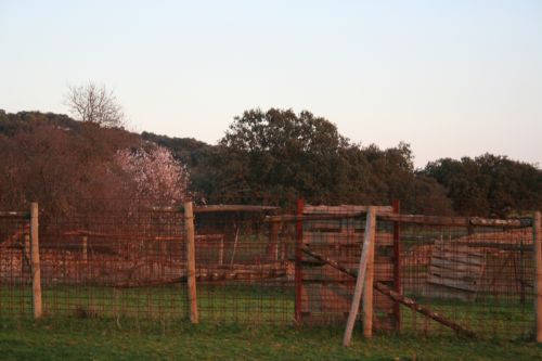 Fotografia de M� Mercedes L�pez Ordiales - Galeria Fotografica: Enero - Foto: 