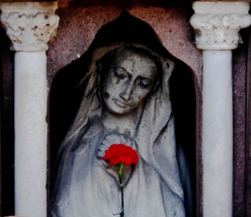 Fotografia de Sergio Loman - Galeria Fotografica: Los Olvidados del Cementerio - Foto: 