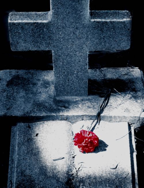 Fotografia de Sergio Loman - Galeria Fotografica: Los Olvidados del Cementerio - Foto: 