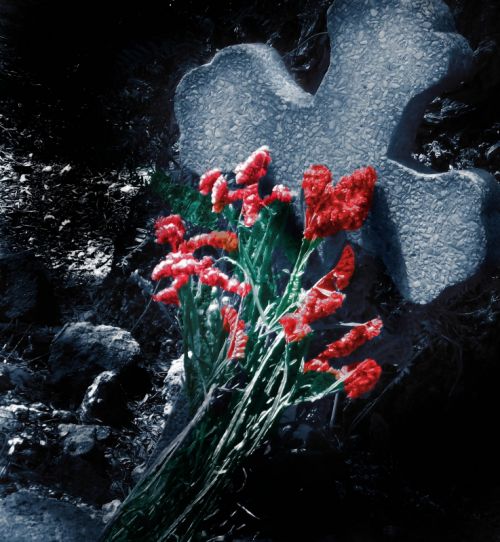 Fotografia de Sergio Loman - Galeria Fotografica: Los Olvidados del Cementerio - Foto: 