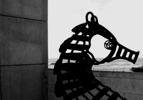 Fotografia de Gus Santaolalla - Galeria Fotografica: Mar de Fondo - Foto: Caballito de Mar 2