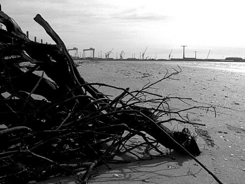 Fotografia de Gus Santaolalla - Galeria Fotografica: Mar de Fondo - Foto: Restos del temporal