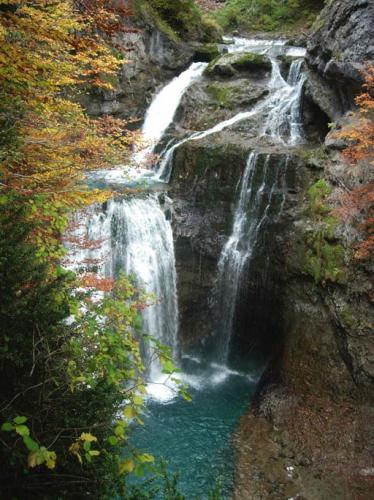 Fotografia de Golosiny - Galeria Fotografica: Naturalezas - Foto: cola de caballo