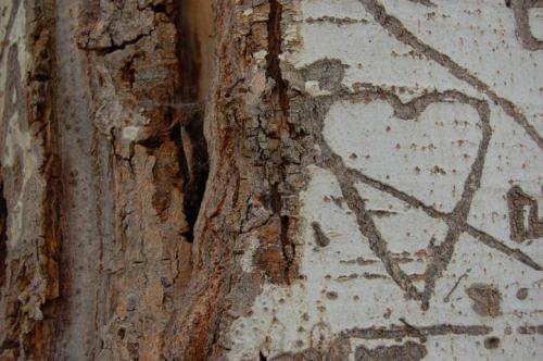 Fotografia de Golosiny - Galeria Fotografica: Texturas de madrid - Foto: amor roto