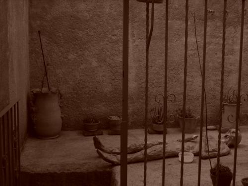 Fotografia de Crazy Diamond - Galeria Fotografica: No No No No No No - Foto: Like A Embrion