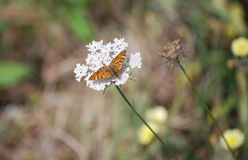 Fotografia de Josu - Galeria Fotografica: Varias - Foto: 