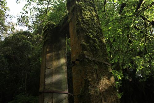 Fotografia de juandavo - Galeria Fotografica: arroyo - Foto: 