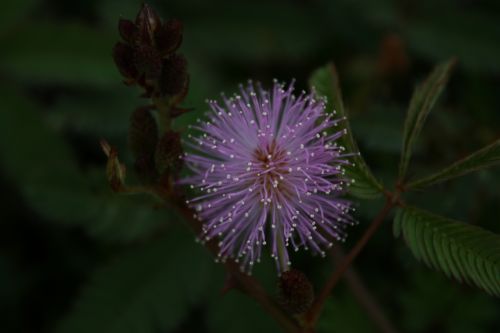 Fotografia de juandavo - Galeria Fotografica: arroyo - Foto: 