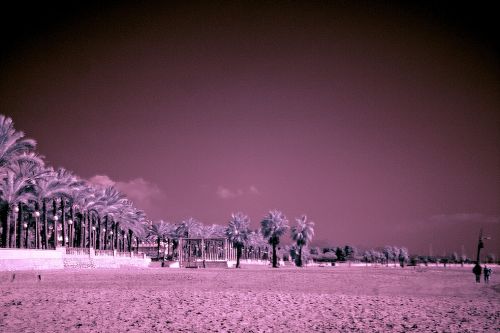 Fotografia de airbel - Galeria Fotografica: paisajes en infrarrojo - Foto: 