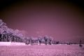 Fotos de airbel -  Foto: paisajes en infrarrojo - 