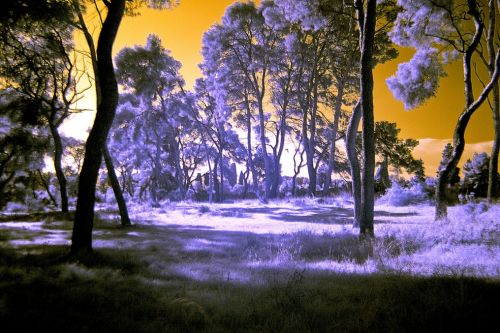 Fotografia de airbel - Galeria Fotografica: paisajes en infrarrojo - Foto: 