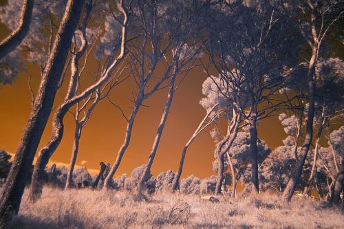 Fotografia de airbel - Galeria Fotografica: paisajes en infrarrojo - Foto: 