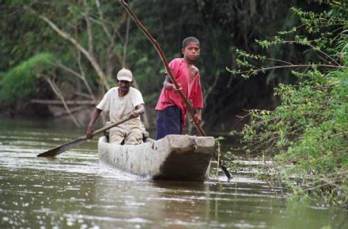 Fotografia de Pau - Galeria Fotografica: Honduras - Foto: 3