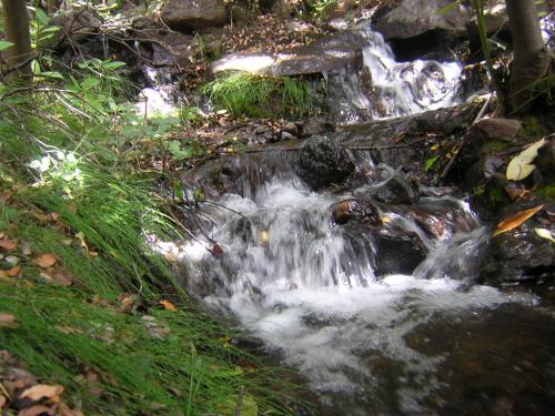 Fotografia de Marcianito - Galeria Fotografica: Mi vision - Foto: 