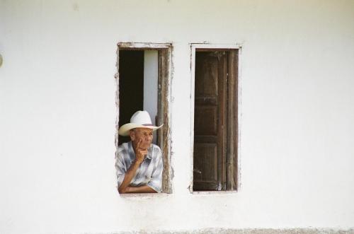 Fotografia de Pau - Galeria Fotografica: Honduras - Foto: 