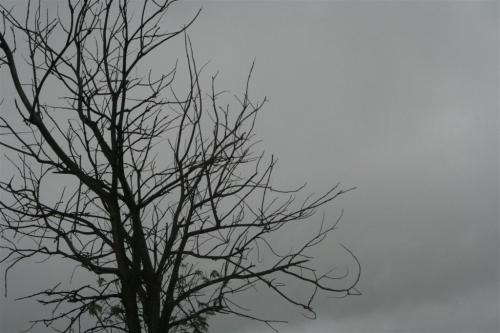 Fotografia de Paulo Rezende - Galeria Fotografica: Uma Plida Lembrana - Foto: Uma Plida Lembrana