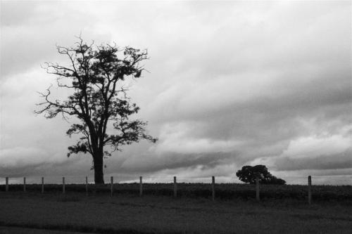 Fotografia de Paulo Rezende - Galeria Fotografica: Uma Plida Lembrana - Foto: Uma Plida Lembrana