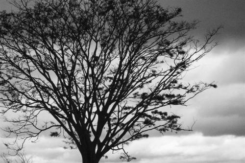 Fotografia de Paulo Rezende - Galeria Fotografica: Uma Plida Lembrana - Foto: Uma Plida Lembrana