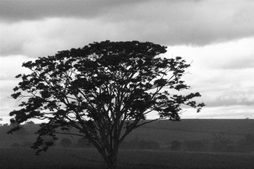 Fotografia de Paulo Rezende - Galeria Fotografica: Uma Plida Lembrana - Foto: Uma Plida Lembrana