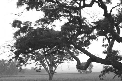 Fotografia de Paulo Rezende - Galeria Fotografica: Uma Plida Lembrana - Foto: Uma Plida Lembrana