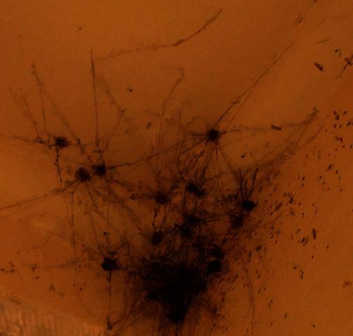 Fotografia de cesar - Galeria Fotografica: Cosas - Foto: 								La Esquina																