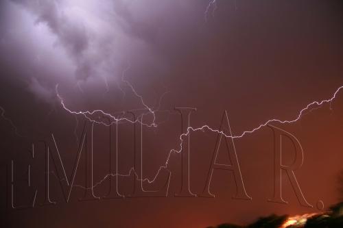 Fotografia de ailime - Galeria Fotografica: animales y paisajes - Foto: 	energia							