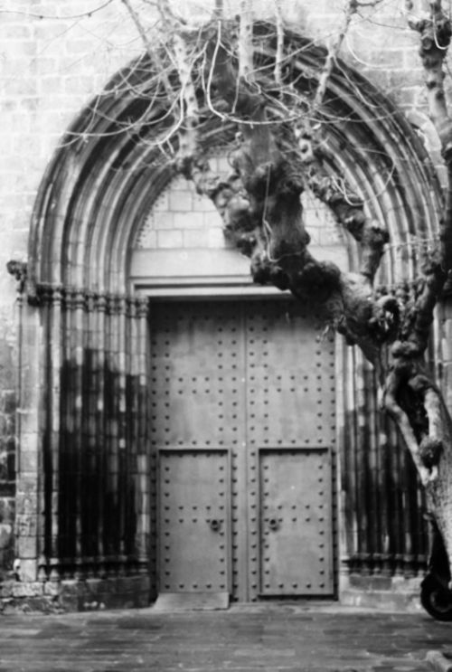 Fotografia de Mhark Marcelo - Galeria Fotografica: Mhark Marcelo - Foto: 