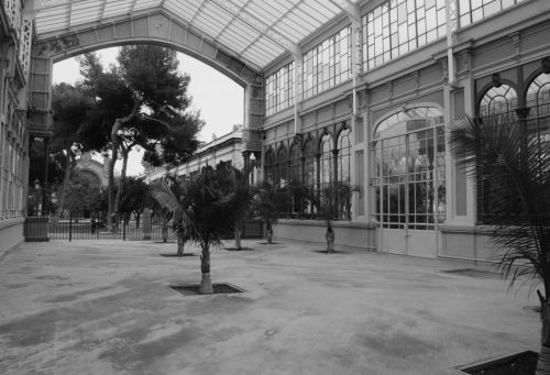 Fotografia de Mhark Marcelo - Galeria Fotografica: Mhark Marcelo - Foto: 