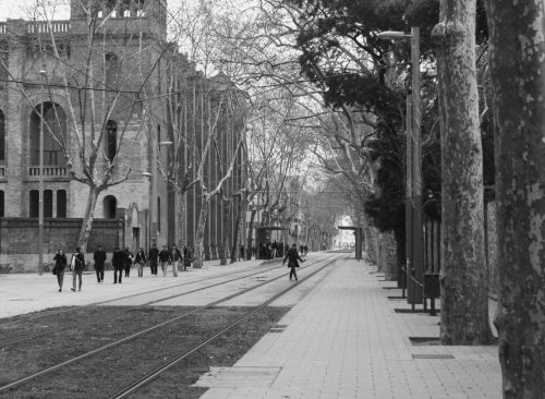 Fotografia de Mhark Marcelo - Galeria Fotografica: Mhark Marcelo - Foto: 