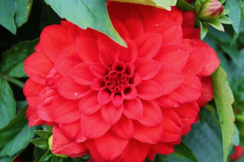 Fotografia de Neus - Galeria Fotografica: Naturaleza y color - Foto: 