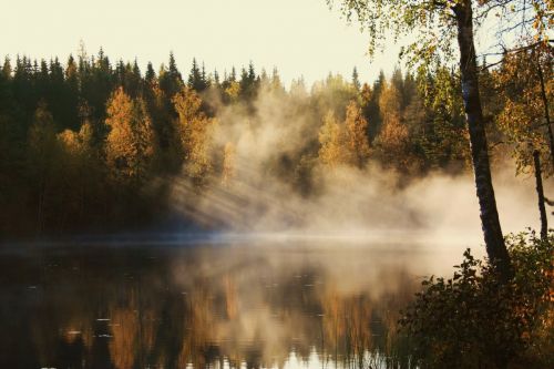 Fotografia de Neus - Galeria Fotografica: Naturaleza y color - Foto: 