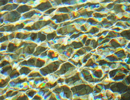 Fotografia de Neus - Galeria Fotografica: varios - Foto: 