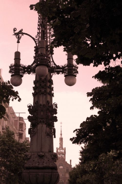 Fotografia de Neus - Galeria Fotografica: varios - Foto: 