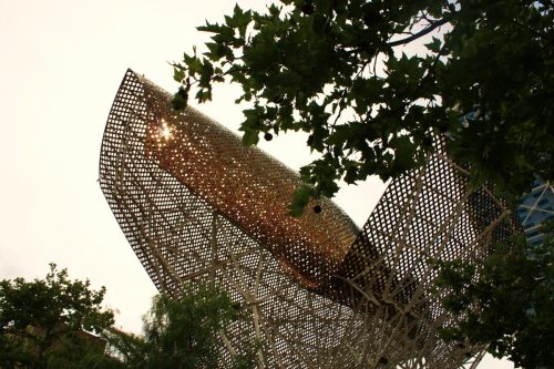 Fotografia de Neus - Galeria Fotografica: varios - Foto: 