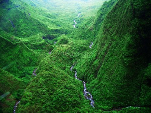 Fotografia de Neus - Galeria Fotografica: Naturaleza y color - Foto: 