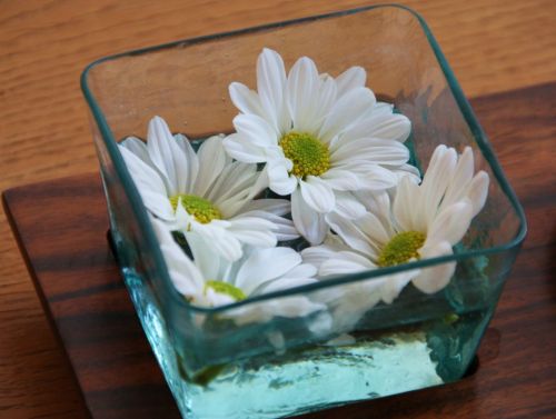 Fotografia de Neus - Galeria Fotografica: varios - Foto: 