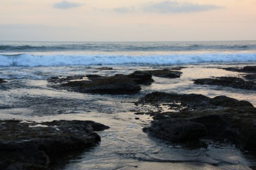 Fotografia de Neus - Galeria Fotografica: Naturaleza y color - Foto: 