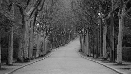 Fotografia de objetivo3 - Galeria Fotografica: soledad - Foto: 