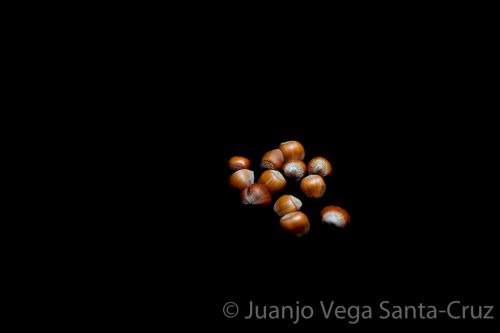 Fotografia de CARGOLART FOTOGRAFIA - Galeria Fotografica: FOTOGRAFIA DE PRODUCTO - Foto: 