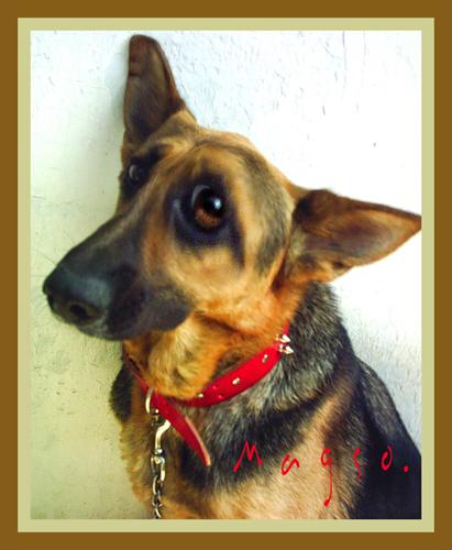 Fotografia de Magso - Galeria Fotografica: 